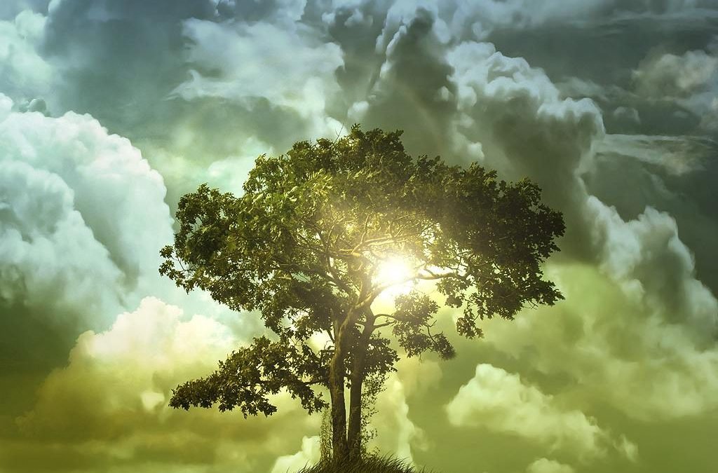 Are we “Doing Happiness” Wrong?